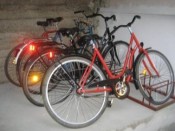 Bicycles rental